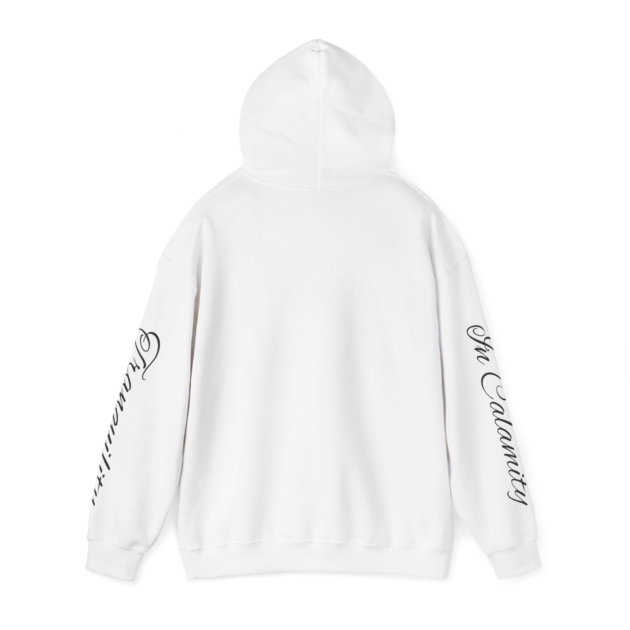 SOLACE Peace in Chaos “Tranquility in Calamity” Unisex Heavy Blend™ Hoodie