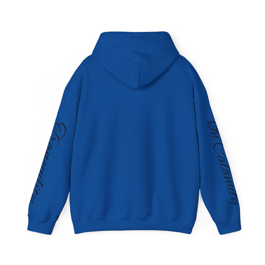 SOLACE Peace in Chaos “Tranquility in Calamity” Unisex Heavy Blend™ Hoodie