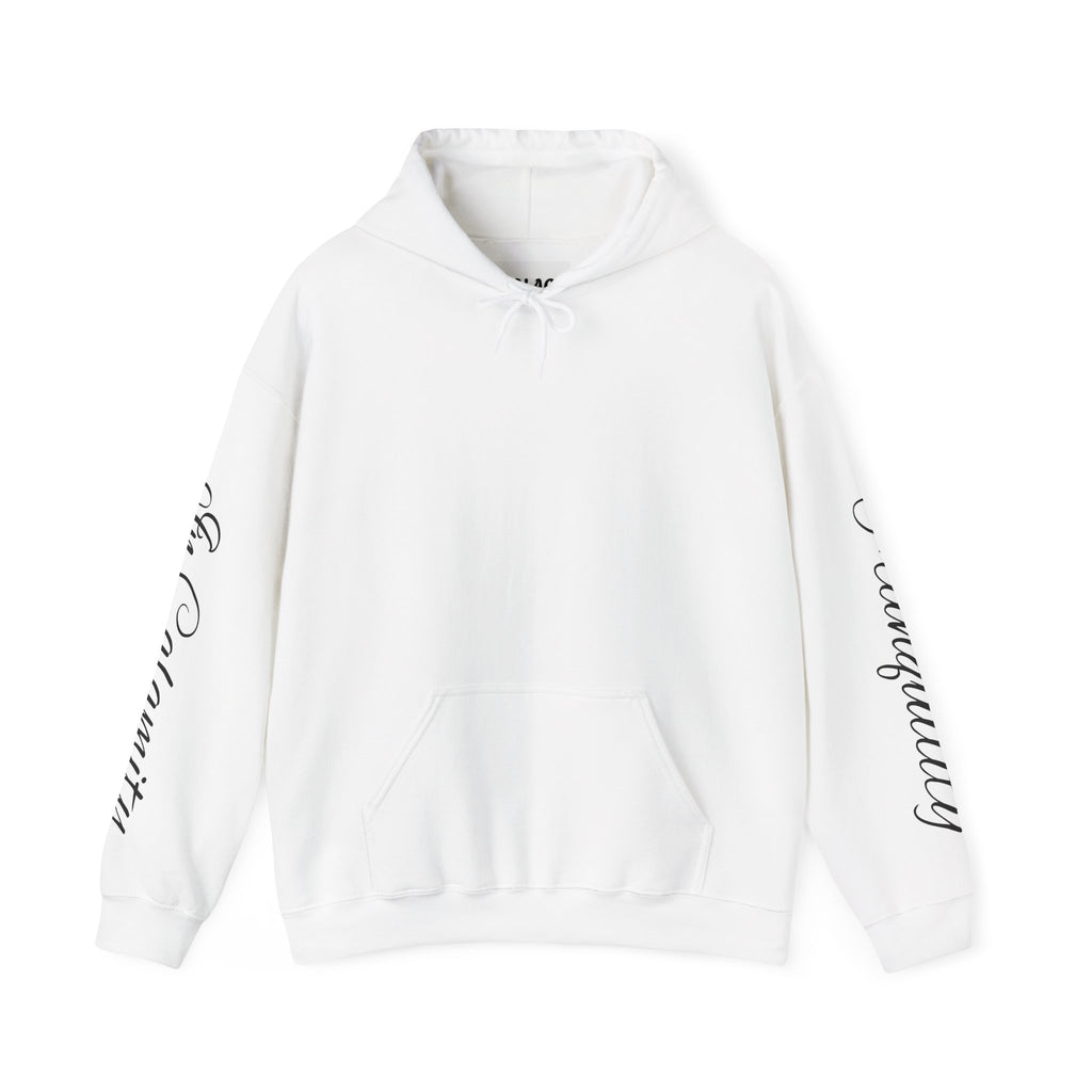 SOLACE Peace in Chaos “Tranquility in Calamity” Unisex Heavy Blend™ Hoodie