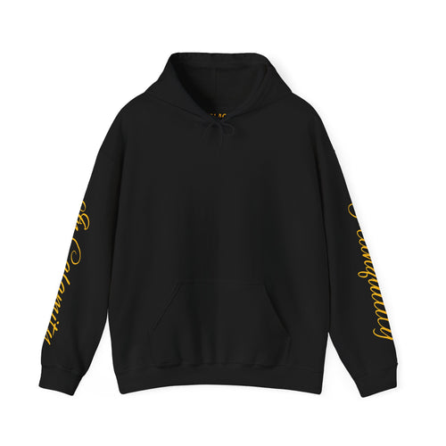 SOLACE Peace in Chaos “Tranquility in Calamity” Unisex Heavy Blend™ Hoodie