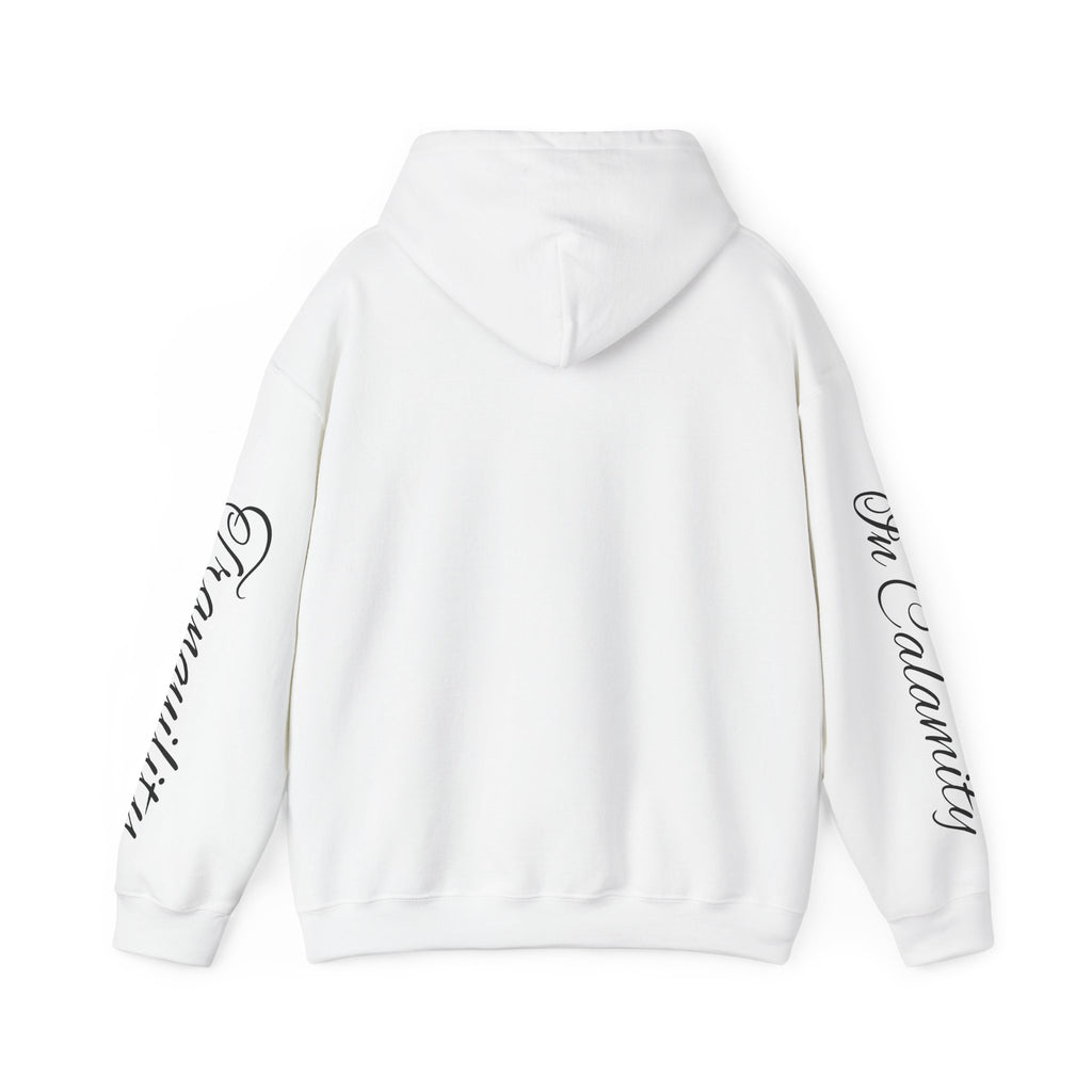 SOLACE Peace in Chaos “Tranquility in Calamity” Unisex Heavy Blend™ Hoodie