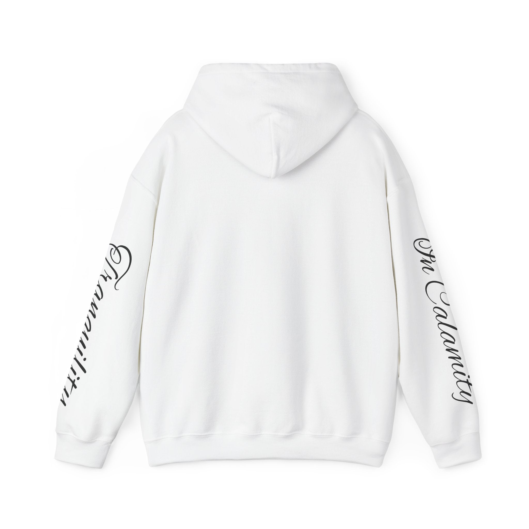 SOLACE Peace in Chaos “Tranquility in Calamity” Unisex Heavy Blend™ Hoodie