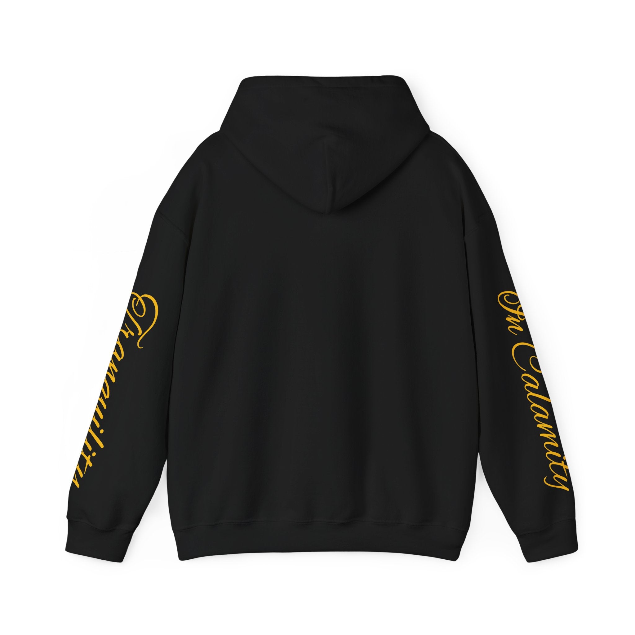 SOLACE Peace in Chaos “Tranquility in Calamity” Unisex Heavy Blend™ Hoodie