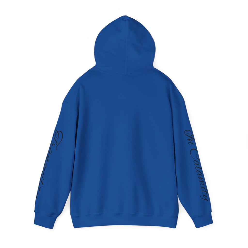 SOLACE Peace in Chaos “Tranquility in Calamity” Unisex Heavy Blend™ Hoodie