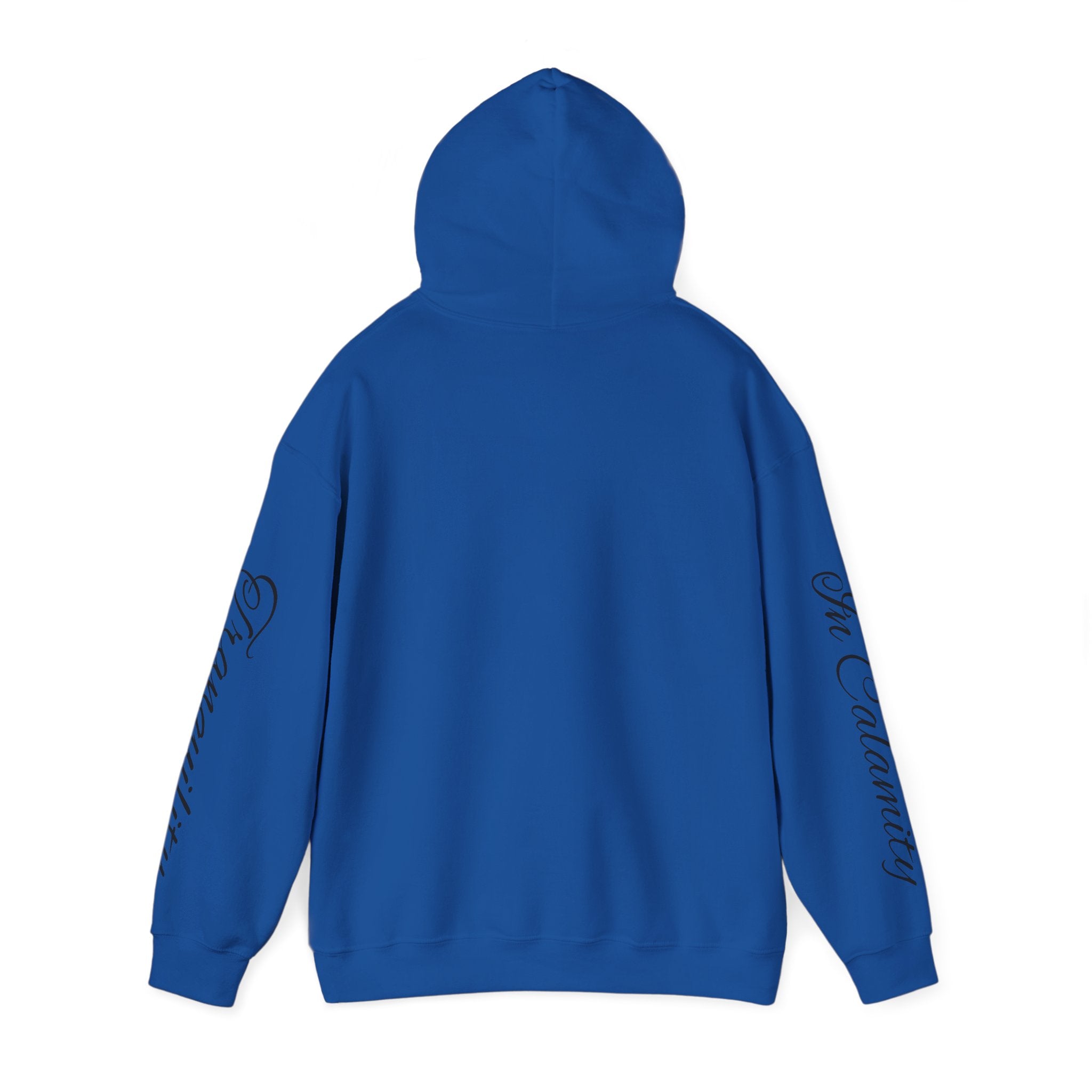 SOLACE Peace in Chaos “Tranquility in Calamity” Unisex Heavy Blend™ Hoodie