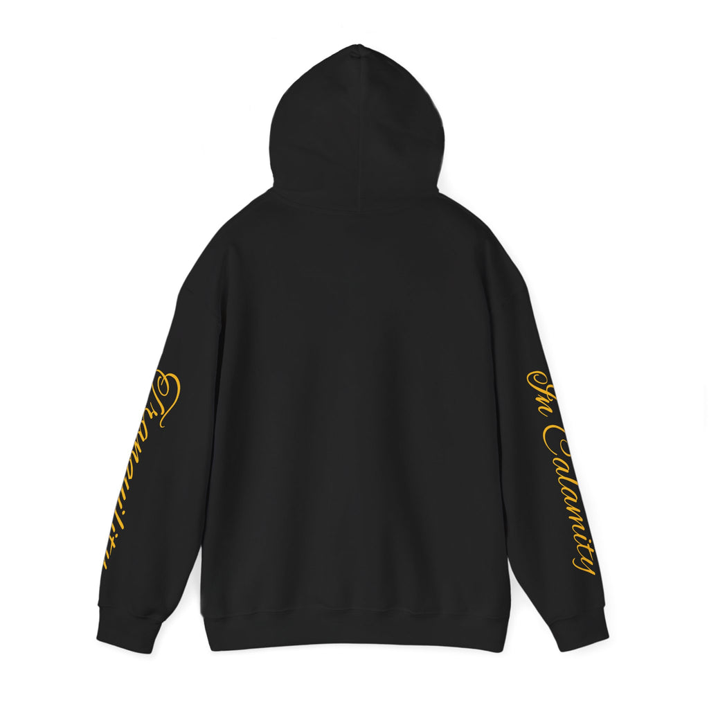 SOLACE Peace in Chaos “Tranquility in Calamity” Unisex Heavy Blend™ Hoodie