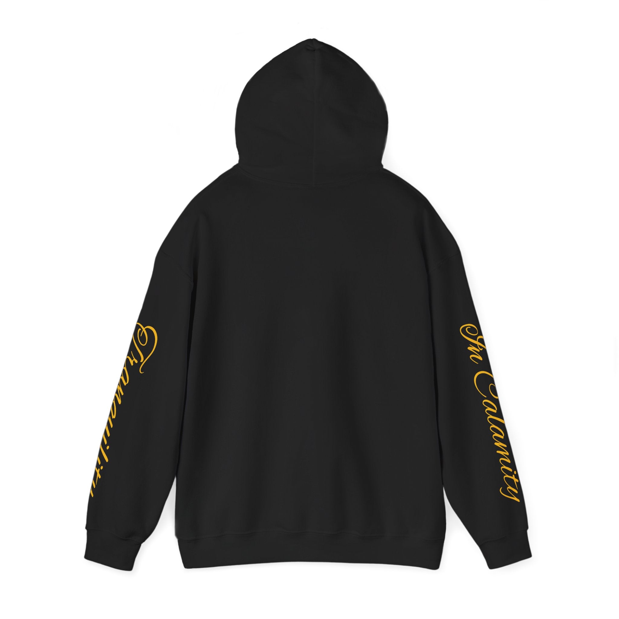 SOLACE Peace in Chaos “Tranquility in Calamity” Unisex Heavy Blend™ Hoodie